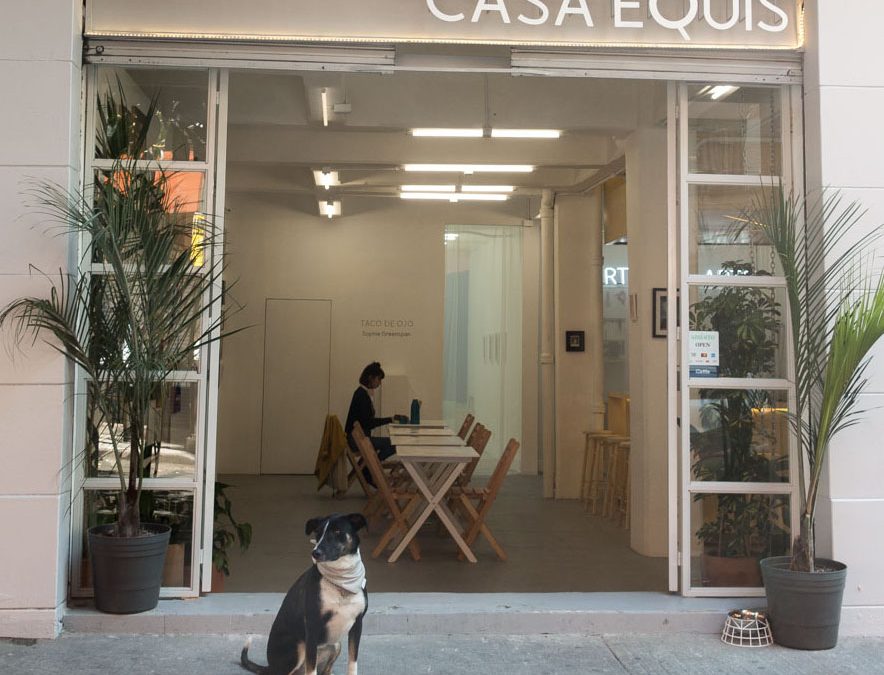 Casa Equis: una galería auto-gestionada por artistas cumple su primer aniversario